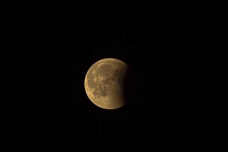 Moon Phase Decor